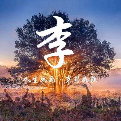 如何评价刘慈欣小说改编的同名电影《流浪地球》？